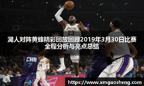 湖人对阵黄蜂精彩回放回顾2019年3月30日比赛全程分析与亮点总结